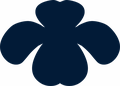 CIC